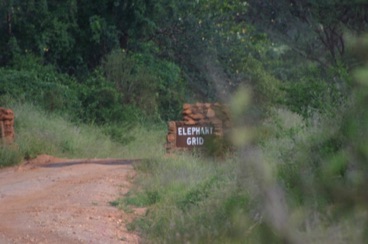 kenya 119